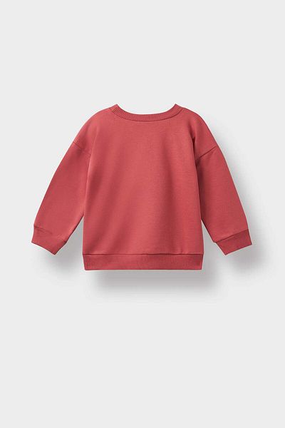 DeFacto Baby Boy Crew Neck Dinosaur Printed Soft Furry Inside Sweatshirt F4531A525Au