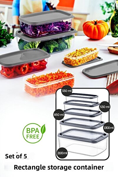 SWENCRAFT Set of 5 Luxury Food Storage Boxes - Can Enter Microwave and Deep Freezer