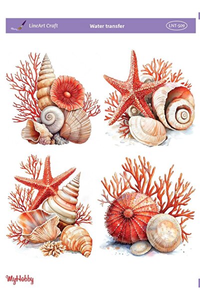 LİNEART رقم نقل الماء الخطي: LNT509 25x35 سم