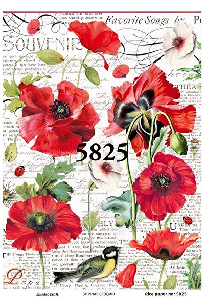 LİNEART 5825 ديكوباج نحاسي منقوش على شكل طائر الخشخاش الأحمر - 30x42