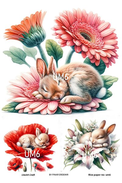 LİNEART Um6 Angel Series - Rabbit and Flower Brass Decoration 30X42