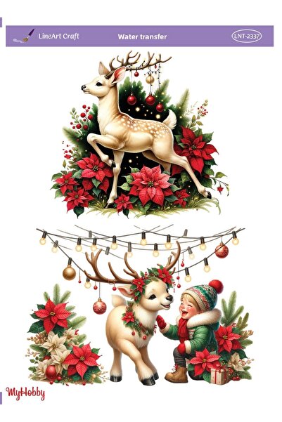 LİNEART LNT2337 موديل 25x35 سم نقل مائي خطي