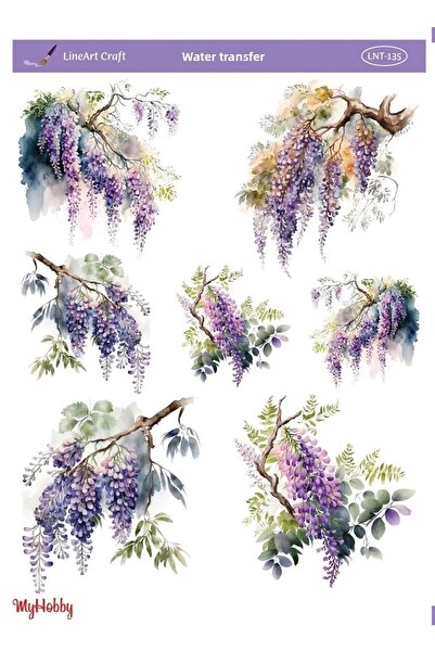 LİNEART LNT135 موديل 25x35 سم نقل مائي خطي