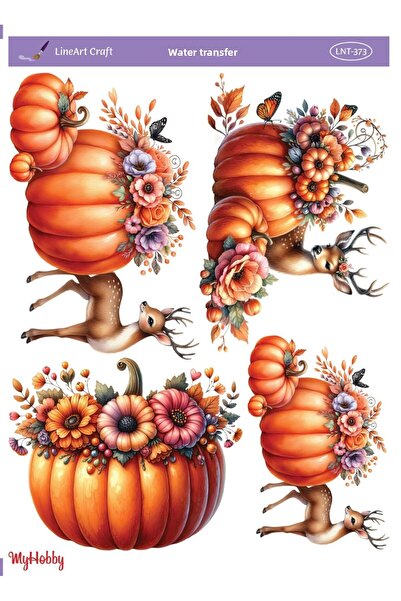 LİNEART LNT373 موديل 25x35 سم نقل مائي خطي