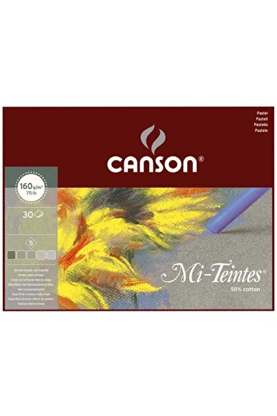 Canson Mi-tientes 5 Grey Color 160g Pastel Block 30 Sheets 24x32cm