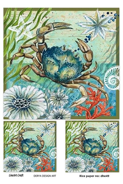 LİNEART ورق ديكوباج نحاسي - DHE49، 29x42 سم