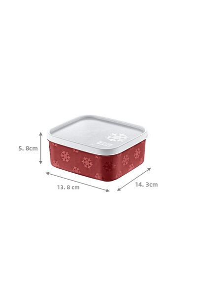 Smartware Set of 2 No Frost Storage Container Carmen 700 ml