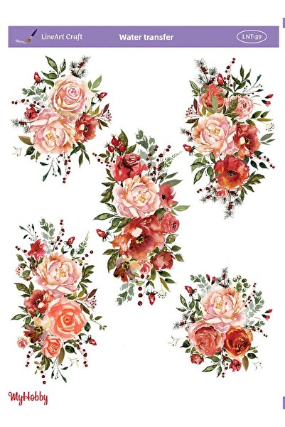 Hayalsanat Lnt39 Model Water Transfer