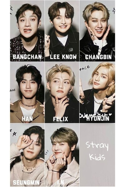 owl bag Set de cărți foto Straykids 3 No -kpop- 9 piese