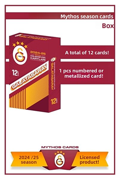 Galatasaray بطاقات الموسم 2024-25 - صندوق