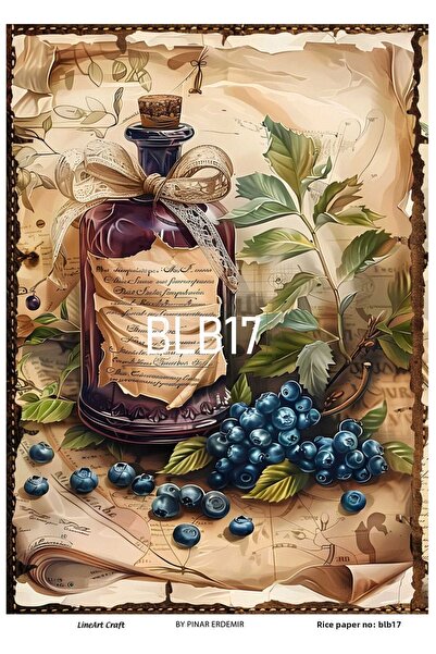 LİNEART Blueberry Series Decopage Rice Paper - No: Blb17