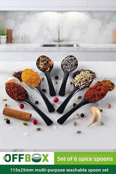 OFFBOX 6 Pieces Spice Spoon Breakfast Spice Spoon Spoon Set BK-06