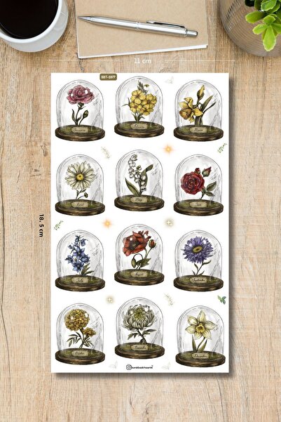 Burak Baskı Tasarım Vintage Natural Flower Sticker - Planner, Bullet Journal,...
