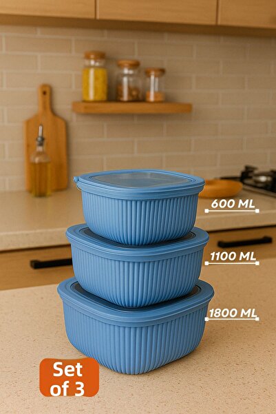 welcomein 3-Piece Colorful Lockable Lid Storage Container Diffuse Microwave a...