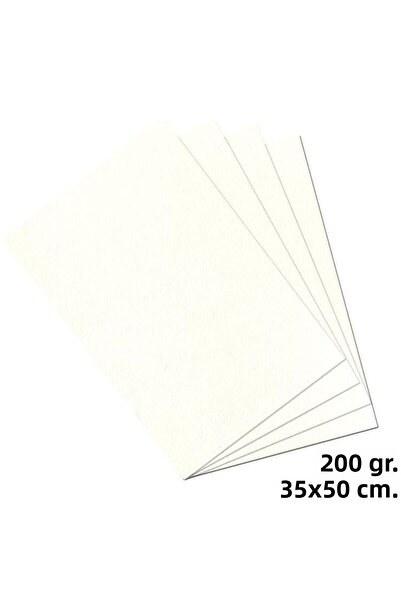 Alex Schoeller Technical Painting Paper 200 Gr. 35X50Cm. (3.5 kg)