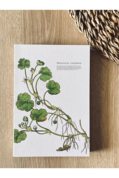 Fark Tanıtım A5 Enzo Striped Notebook with Special Design Cover - 180 Degree Opening, 100% Handcrafted