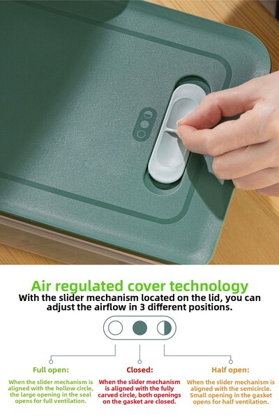 Vienev Adjustable Vegetable and Fruit Storage Container with 4 Air Channels 2X(2.35-5 Lt) Mint