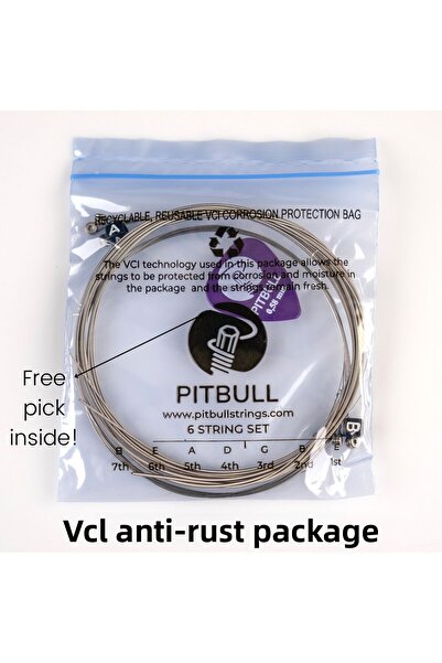 PİTBULL Pitbull Strings Silver Series Set de corzi pentru chitară electrică SEG 10-46 L Aliaj de nichel ușor