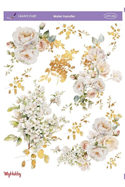 LİNEART Water Transfer Lnt263 Transfer Paper