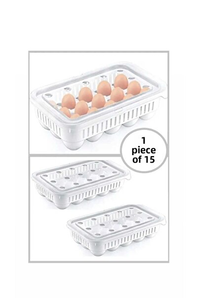 Bayev حاوية تخزين البيض المكونة من 15 حاوية بيض معقمة مع منظم بيض بغطاء