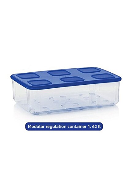 Tupperware Modular Organizing Container 1.6 Lt Storage Container Esc