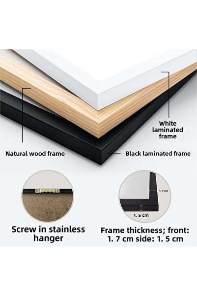 HOMEPACK Tablou cu rama din lemn alb Poster cu rama Decor artistic modern de ...