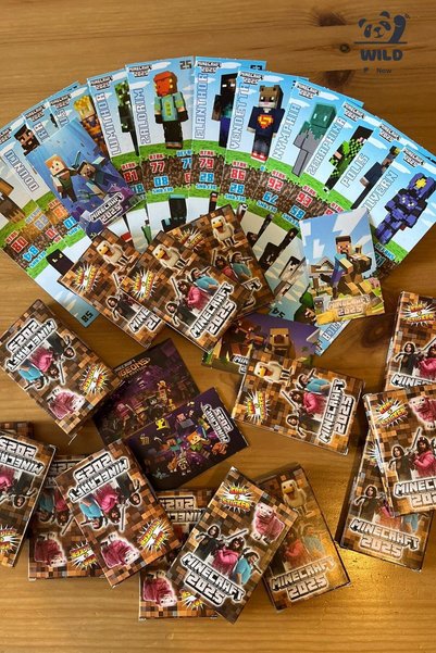 wildpanda Mine Craft 2025 New Card+Sticker (5 Mini Box) Total 30 Cards 5 Stickers Fun Playing Cards
