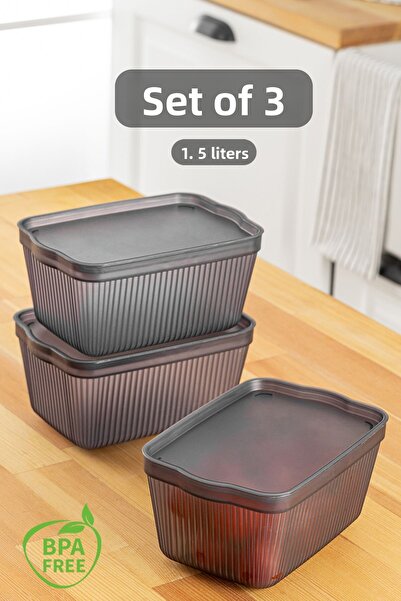 Meleni Home 3-Piece Perry Kitchen Refrigerator Storage Container with Lid – Multi-Purpose Kitchen Organization Box Small 1.5 Lt Smoked