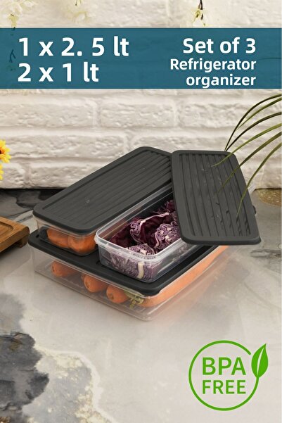 Leila Anthracite 3-Piece Storage Container with Lid, Refrigerator Organizer Suitable for Microwave and Freeze 4.5Lt