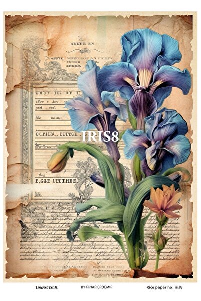 LİNEART Iris8- 29X42Cm Brass Decopage Paper