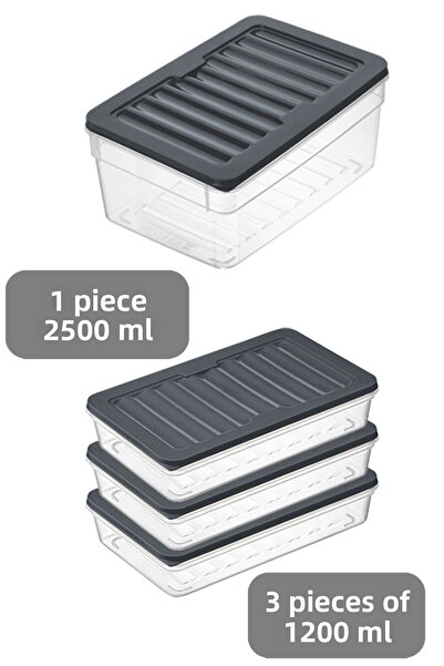 Meleni Home Microwave Compatible Organizer Set of 4 - Food and Food Storage, Deep and Shallow Anthracite