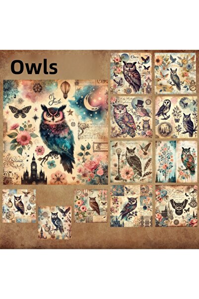 Pink Swan Craft Set de autocolante pentru albume de însemnări de 12 buc Bufni...