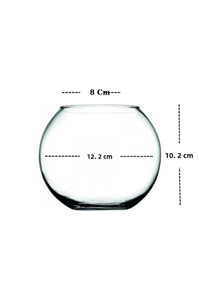 Paşabahçe جرة زجاجية صغيرة من بوتانيكا مقاس صغير 8x10 سم