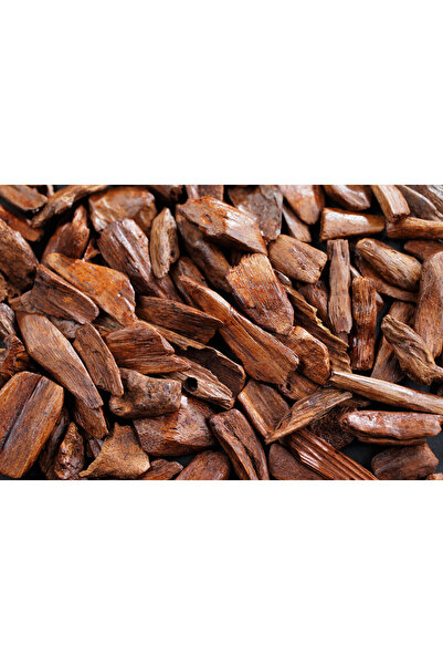 CandleLab Sandalwood Patchouli Esansı 20 ml - Premium Collection - IFRA serti...