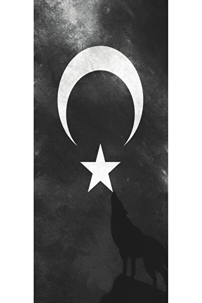 starthediyelik ARABA ORTA DİREK STICKERİ TÜRK3