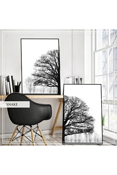 Tablomtr Metal Çerçeveli Gerçek Camlı Tablo Snake 2 liSet