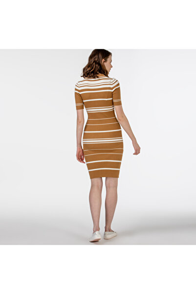 Lacoste Kadın Kısa Kollu Polo Yaka Çizgili Kahverengi Elbise
