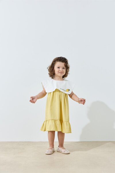 Tics Picnic Poplin Dress