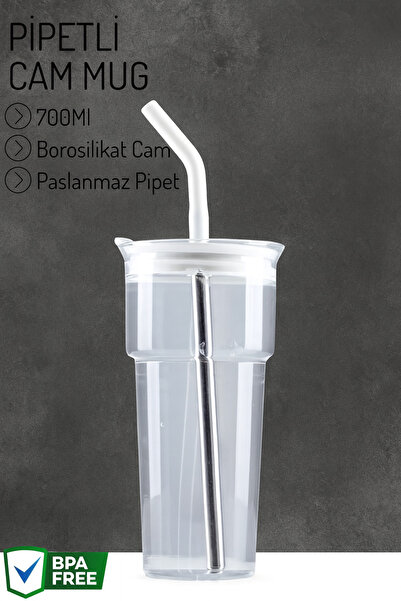 Maloria Paslanmaz Metal Pipetli Borosilikat Cam | Kahve Bardağı Mug - 700ml /...