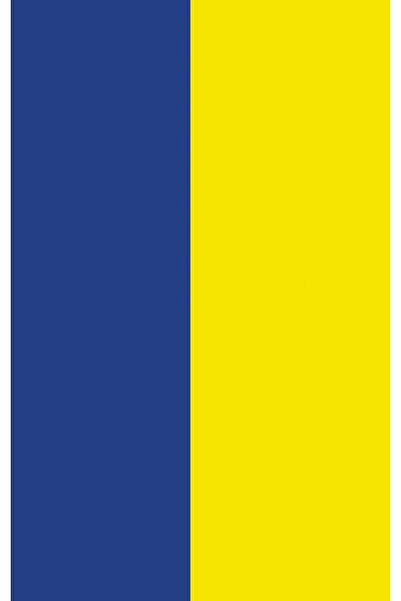 Bavul Etiketi Qr Kodlu Fenerbahçe