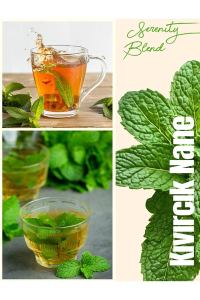 M. Nejat Güllü GÜLLÜOĞLU Güllüoğlu Kıvırcık Nane Çayı (Spearmint Tea) 100 GR.