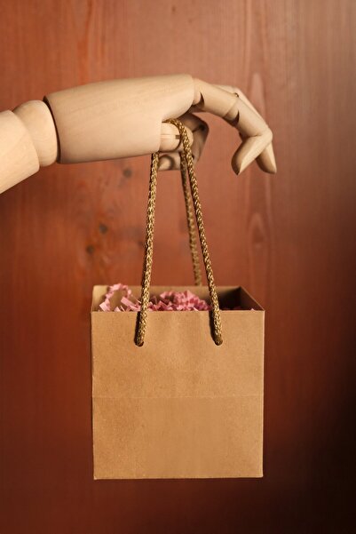 roco paper Kraft Karton Pasta Çanta, 10'lu Paket - Kare Taban, Körüklü, İpli Hediye Taşıma Çantası, 10x10x10 C