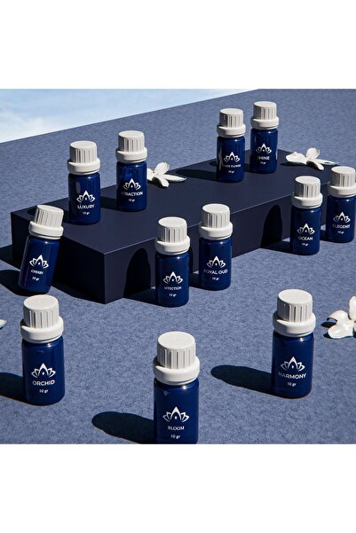 AROMATIC مجموعة كل اللحظات - 12 زيت عطري