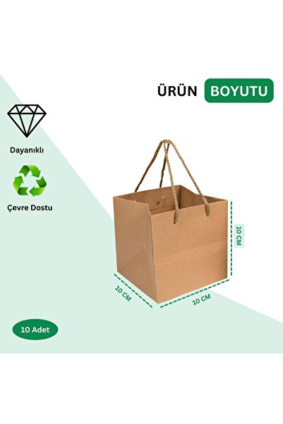 roco paper Kraft Karton Pasta Çanta, 10'lu Paket - Kare Taban, Körüklü, İpli Hediye Taşıma Çantası, 10x10x10 C