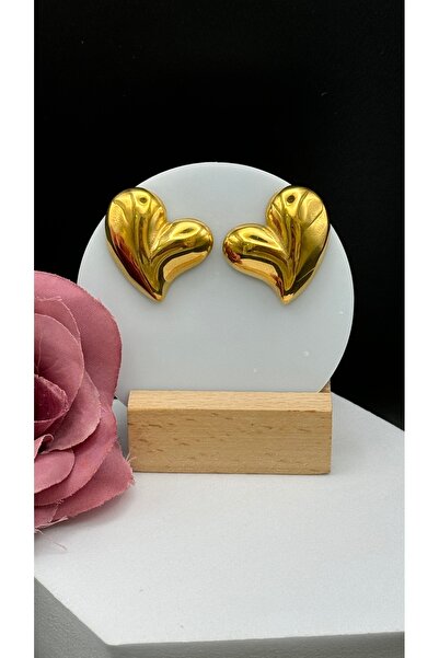 Çelik Heart Design Model Earrings
