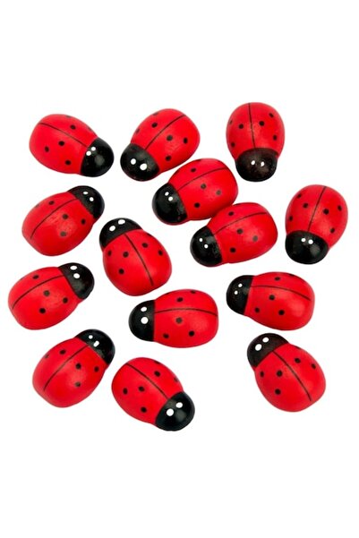 M Deco Set 50 buburuze decorative pentru primăvară, adeziv, lemn, 1,5x1 cm, M...