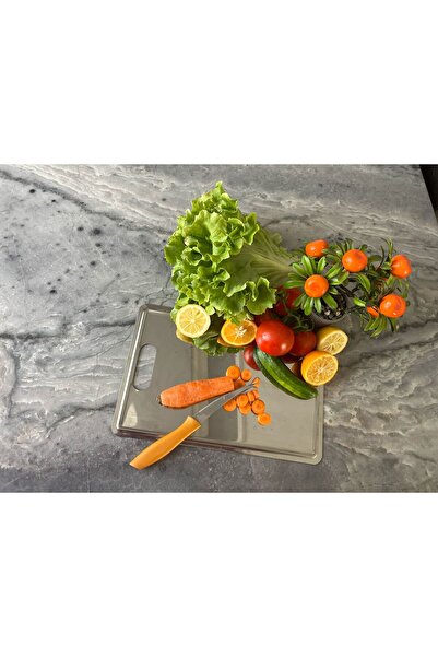 EcoVibe Quality Cutting Board Stainless Steel (304) Chopping Antibacterial Steel Cutting Board