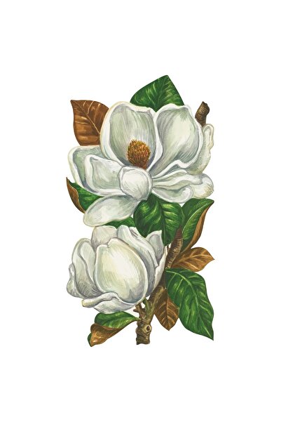 Hester & Cook Magnolia Blooms Table Accent - Pachet de 12