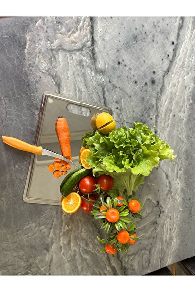 EcoVibe Quality Cutting Board Stainless Steel (304) Chopping Antibacterial St...