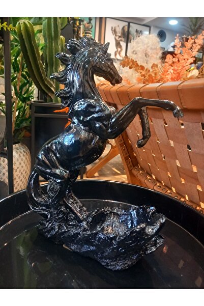 zepce design Dekoratif Şaraplık